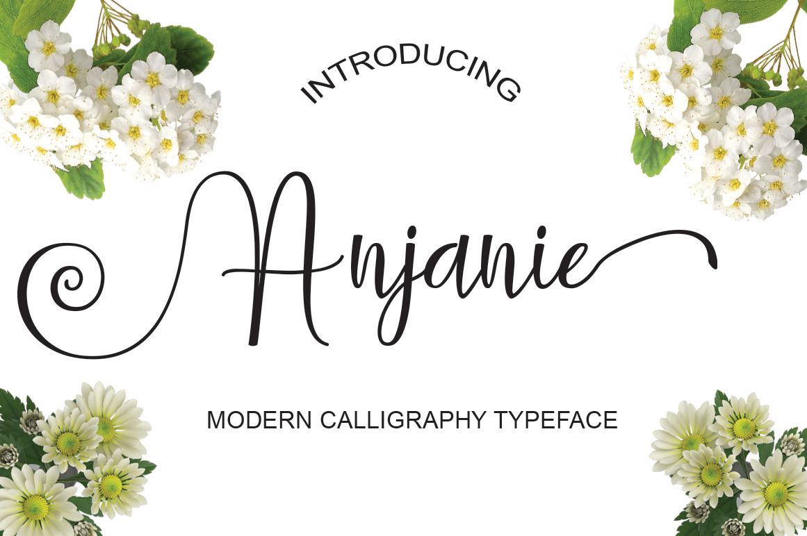 Anjanie Font: Handwritten Elegance for Campaigns