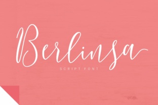 Berlinsa: A Modern Script Font