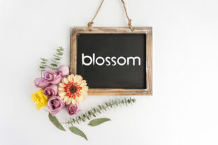 Blossom Font for Elegant Design