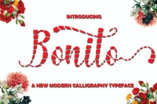 Bonito: A Playful Script Font for Creative Projects