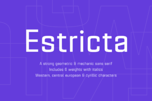 Estricta Family: A Bold Typeface for Editorial Design