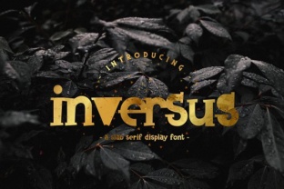 Inversus: The Slab Serif Font That Makes Campaigns Pop