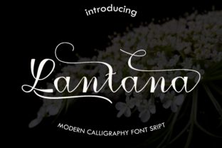 Lantana Font for Editorial Design