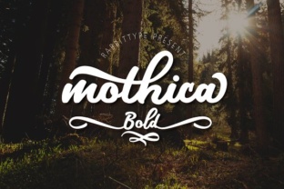 Mothica Bold: A Fluid Script Font for Handmade Brands