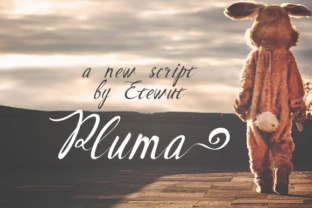 Pluma Font Review: Elegant Script for Branding